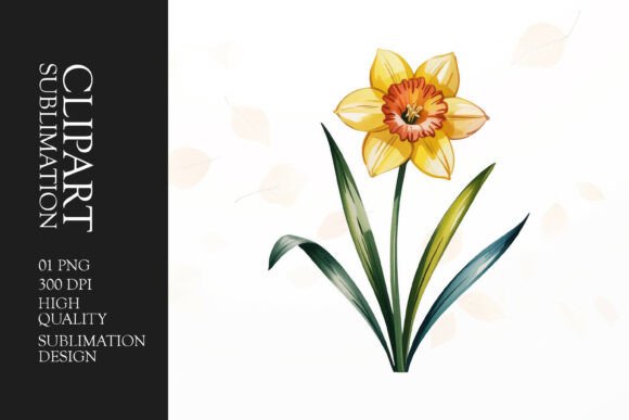Download Daffodil Clipart PNG - Premium Bundle