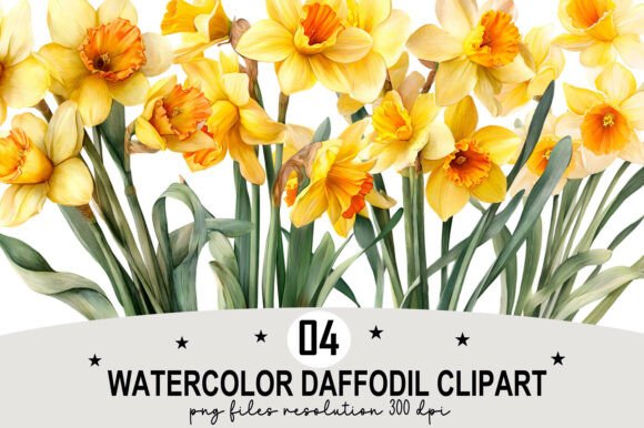 Download Watercolor Daffodil Clipart - Daffodil clipart Collection